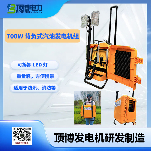 700w背負(fù)式汽油發(fā)電機組